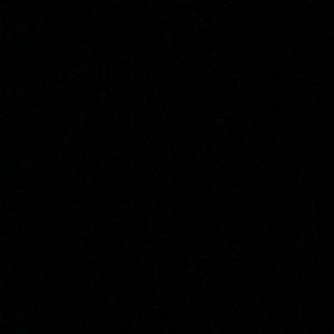 Meet your Posher, Paige